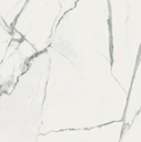 Calacatta White