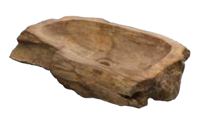 Fossil - Vasque à Poser - D. 26-46 cm