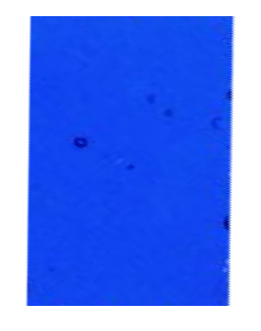 Plaque de Verre 15 x 20 cm, Outremer