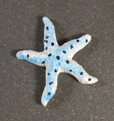 Forme Etoile de mer Bleu Clair